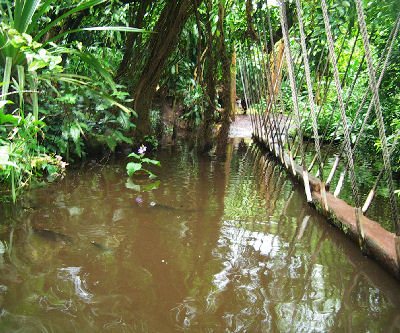 Zoo Arnheim
