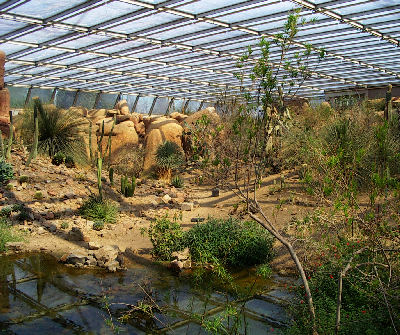 Zoo Arnheim