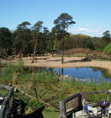 Zoo Arnheim
