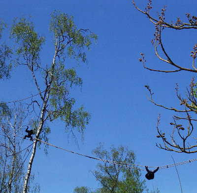 Zoo Arnheim